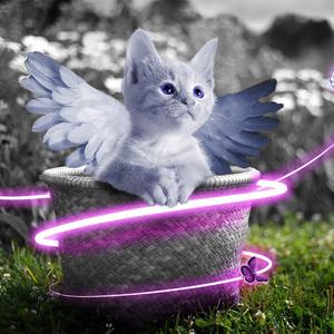 妲己被爆❌吸乳羞羞视频
